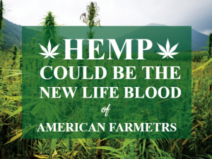 is cbd gummies legal in kentucky